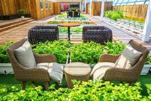 Ways to Make a Small Garden Seem Bigger Ways to Make a Small Garden Seem Bigger