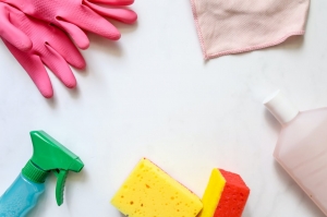 Tips Keeping a Clean House Tips Keeping a Clean House