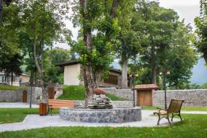 The Enduring Role of Turf in Contemporary Landscaping The Enduring Role of Turf in Contemporary Landscaping